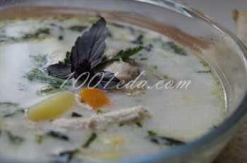 Куриный суп со сливками: рецепт с пошаговым фото