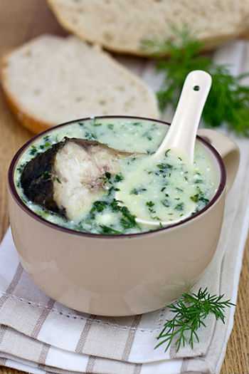 Зеленый суп из кефали